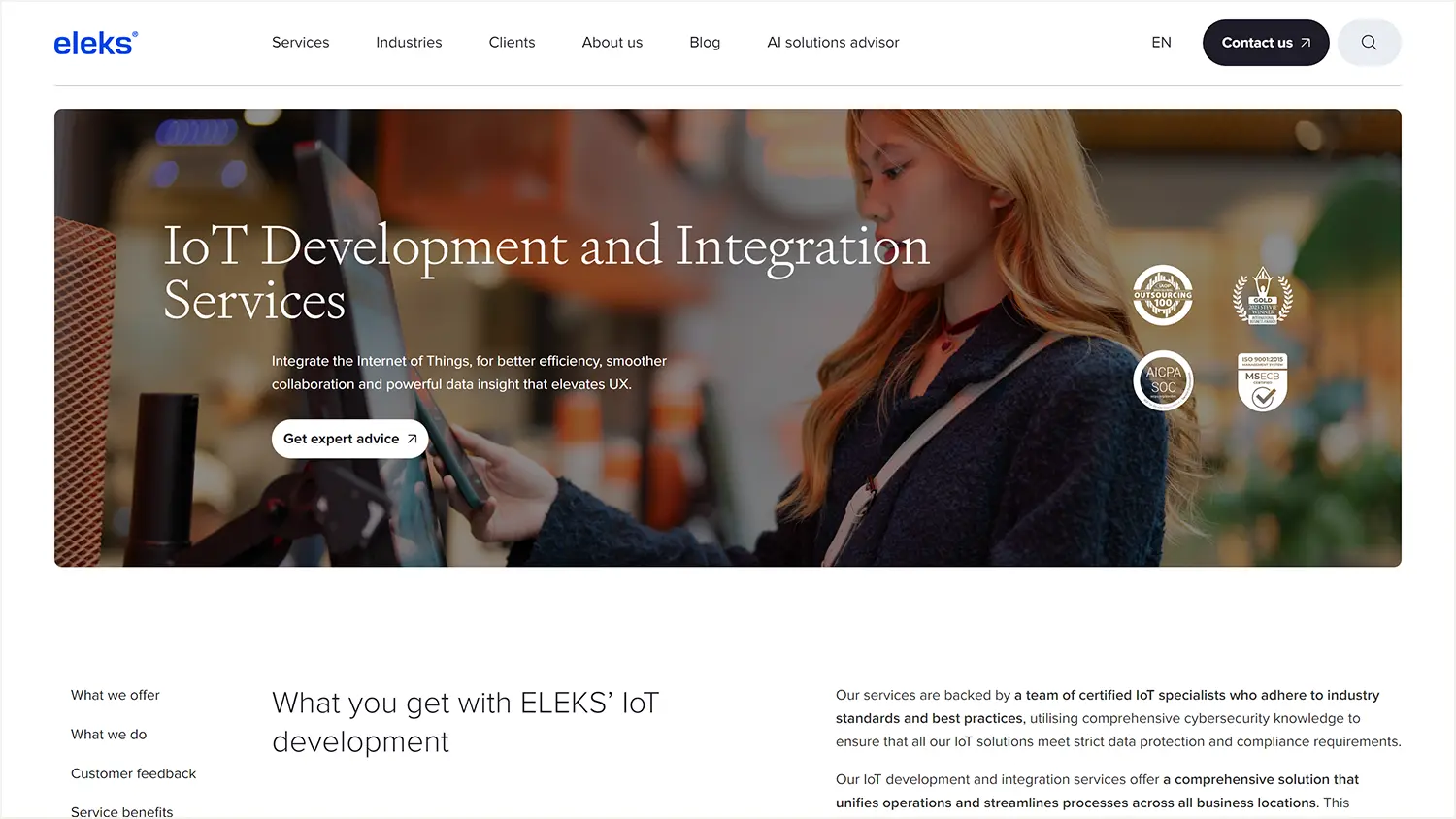 Screenshot of the ELEKS website